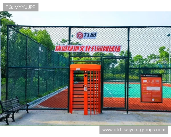 篮球项目在中国城市社区文化建设中的价值嵌入机制，篮球的社会文化价值